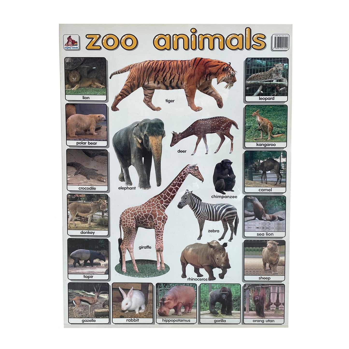 Zoo Animals Poster