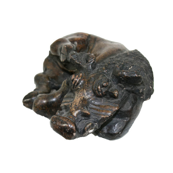 Zimbabwe Warthog