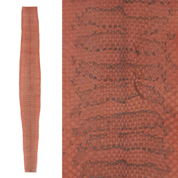 Whip Snake Skin