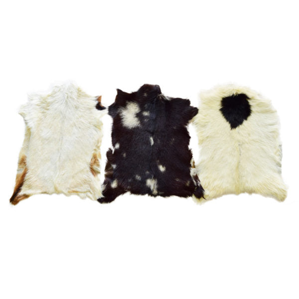 Baby Goat Skins
