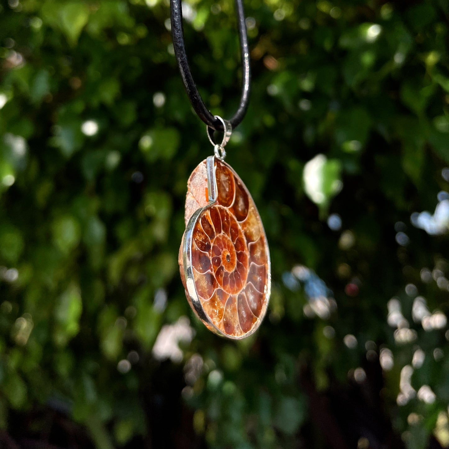Ammonite Pendant