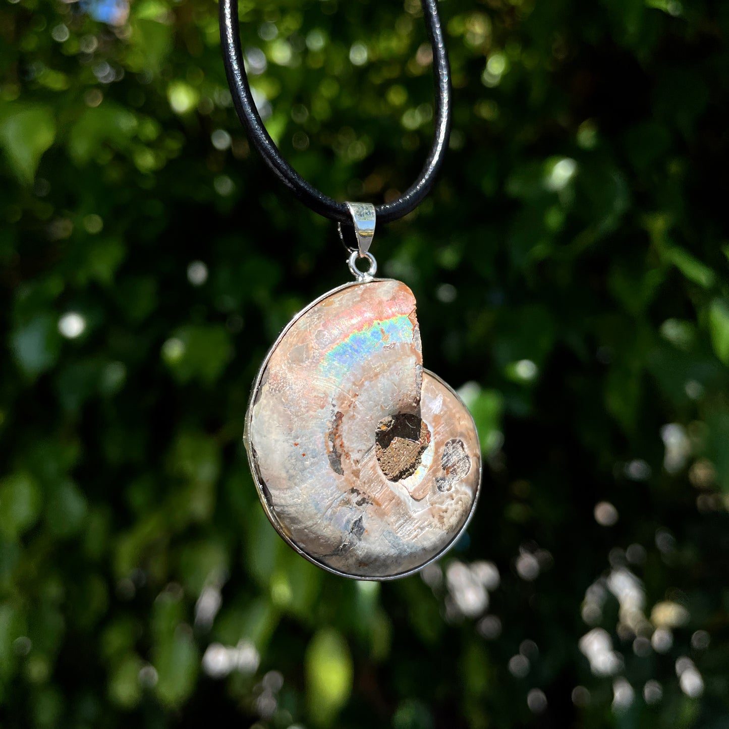 Ammonite Pendant