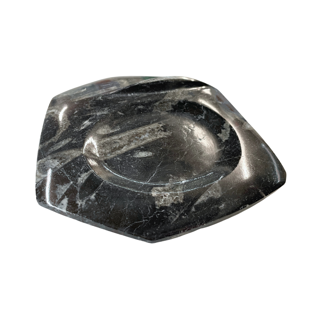 Orthoceras