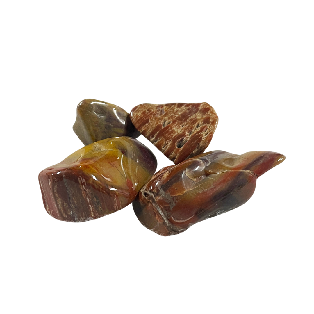 Petrified Wood