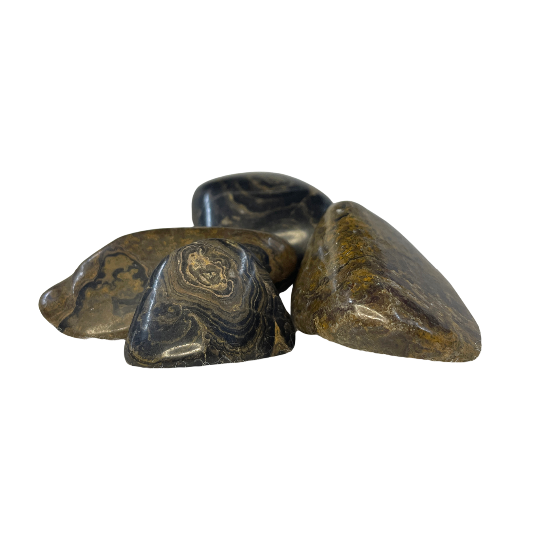 Stromatolite