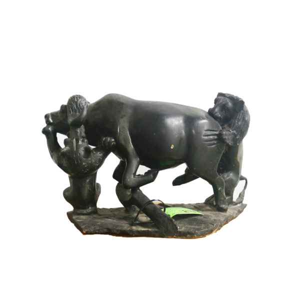 Lions Attacking