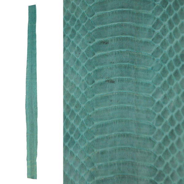 Whip Snake Skin
