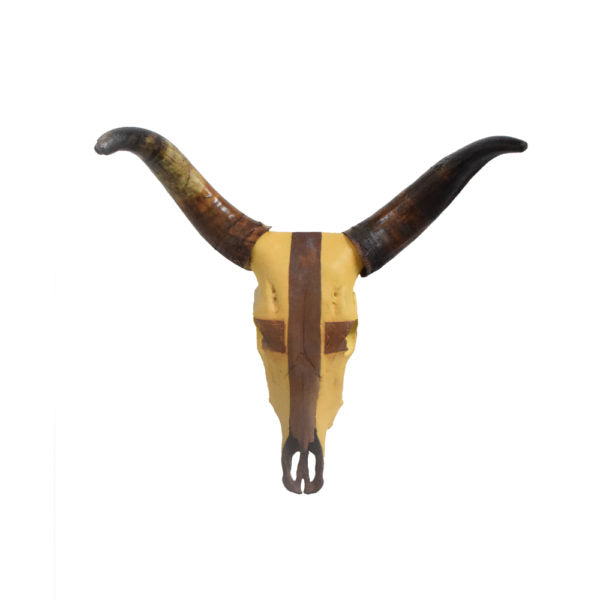 Steer Skull