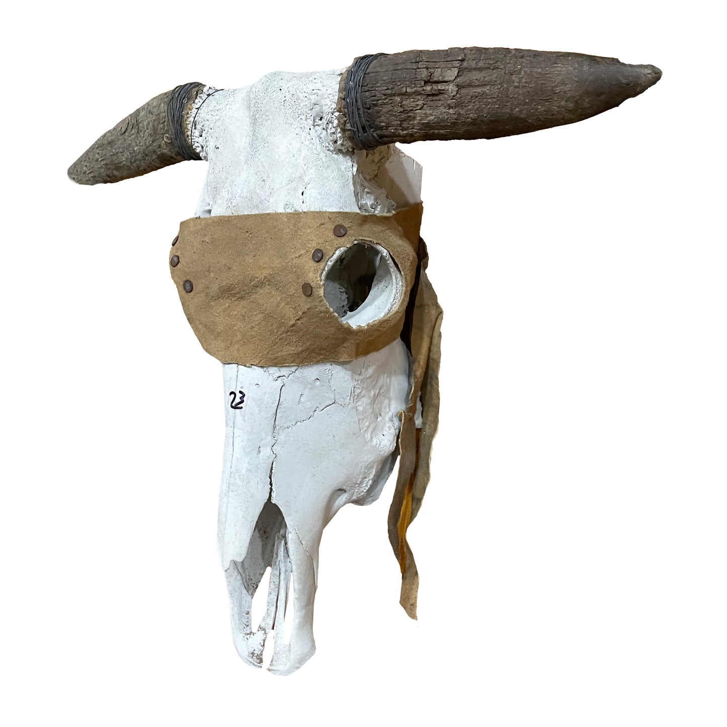 Steer Skull