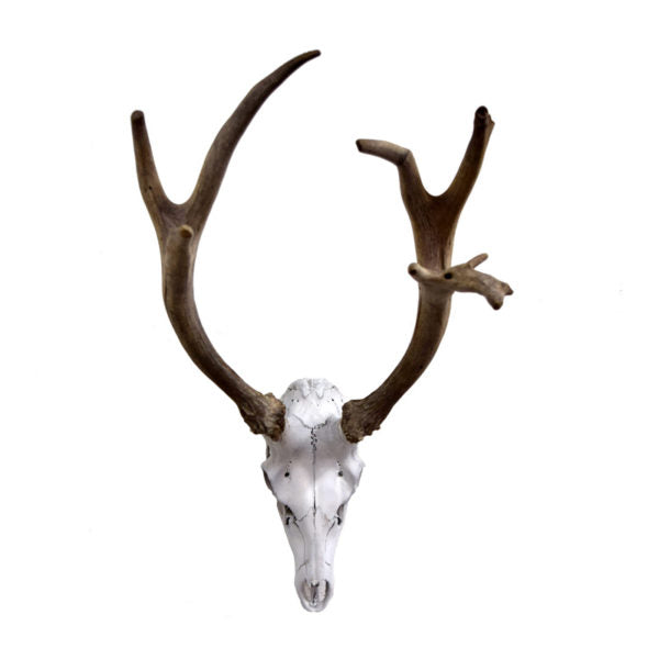 Red Stag