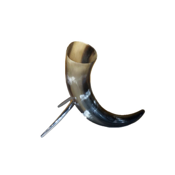Polished Cow Horn