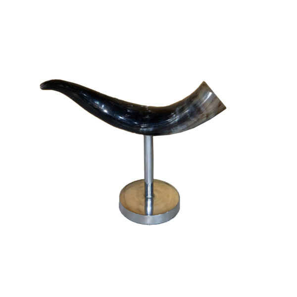 Polished Cow Horn
