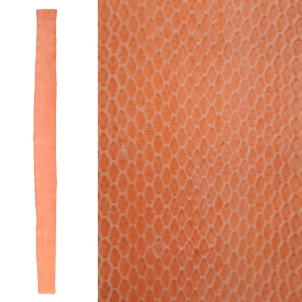 Whip Snake Skin