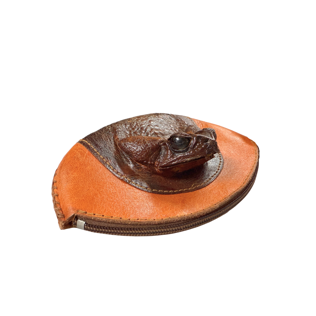 Frog Coin Purse