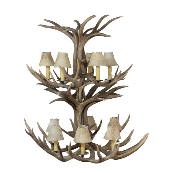 Mule Deer Antler