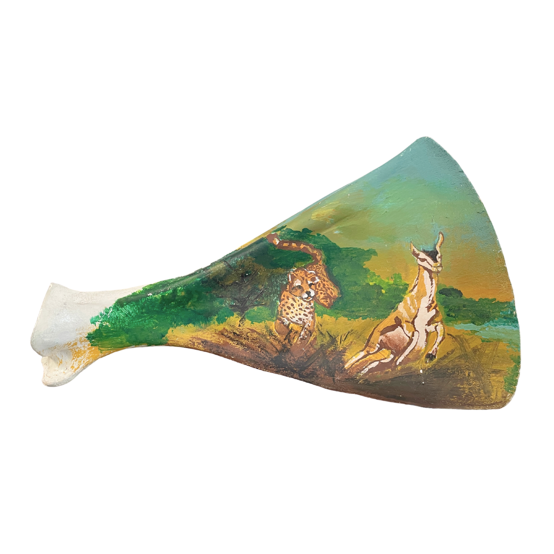 Savannah Painted Antelope Shoulder Blade