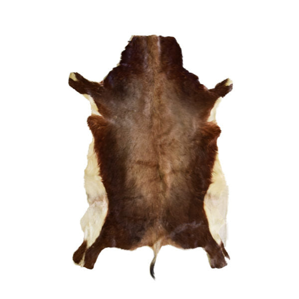 Blesbok Skin Rug