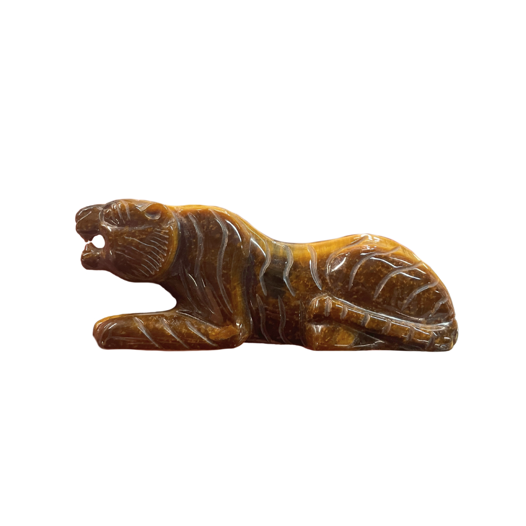 Tiger Eye Lioness