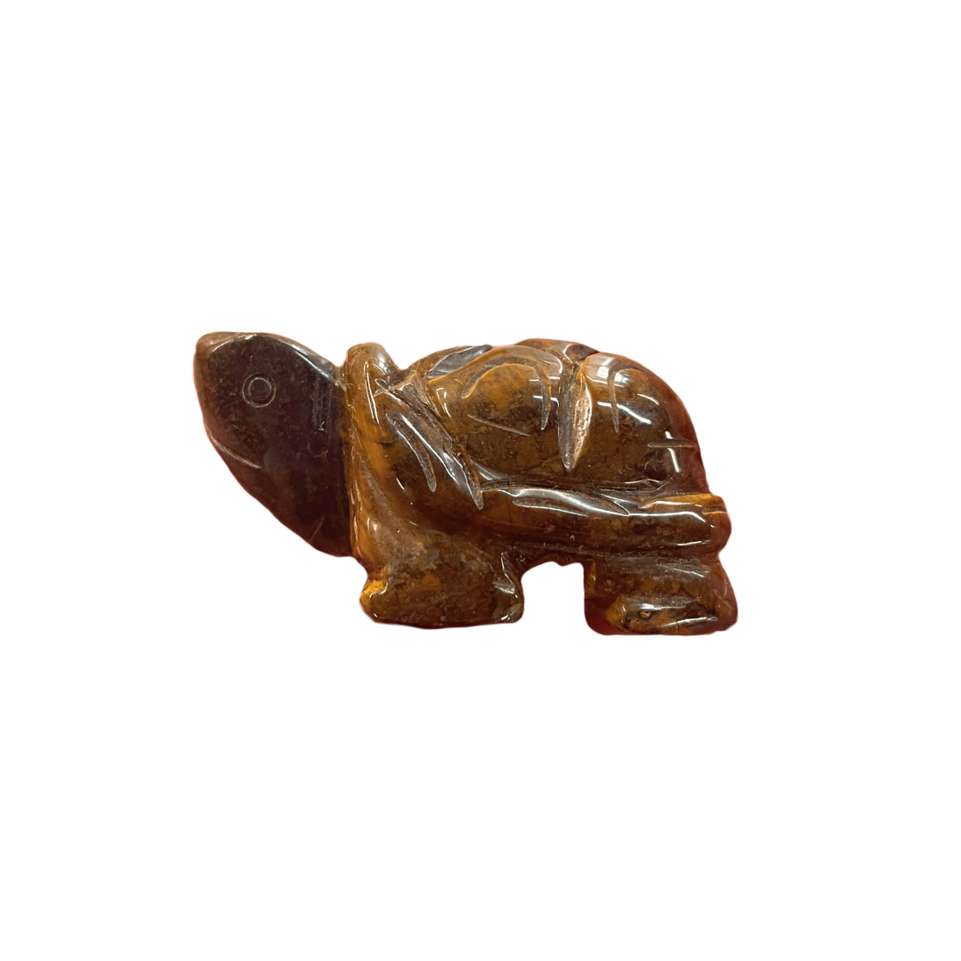 Tiger Eye Turtle