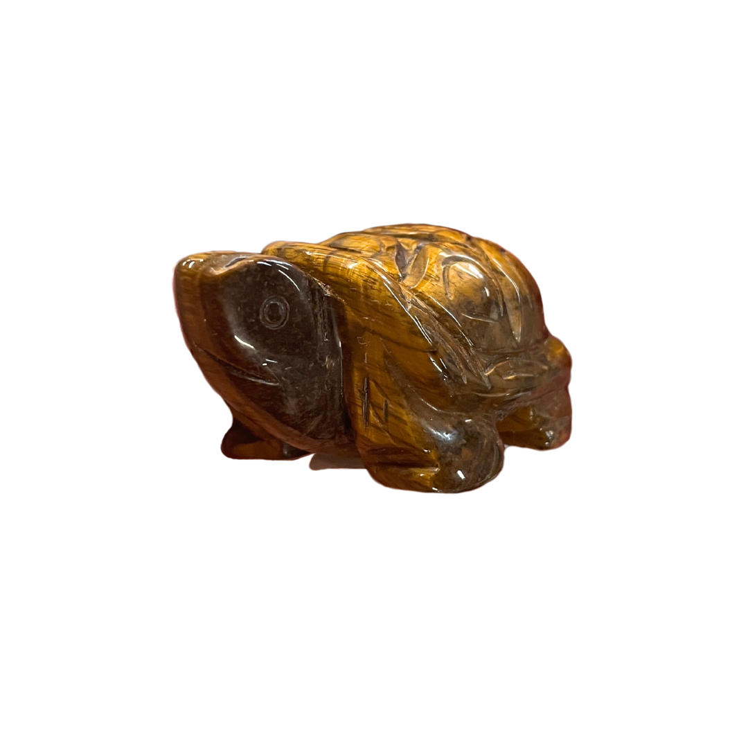 Tiger Eye Turtle