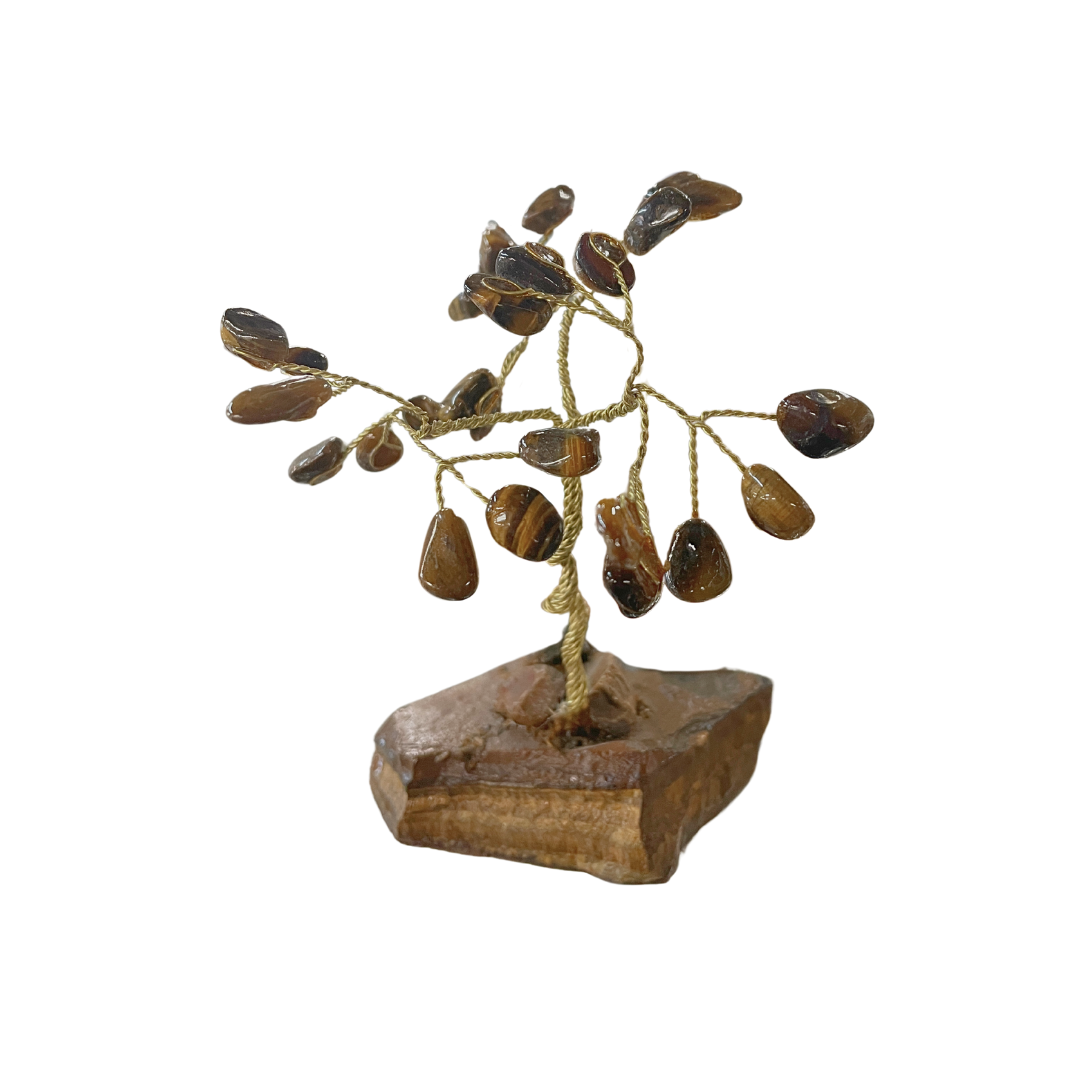 Tiger Eye Tree