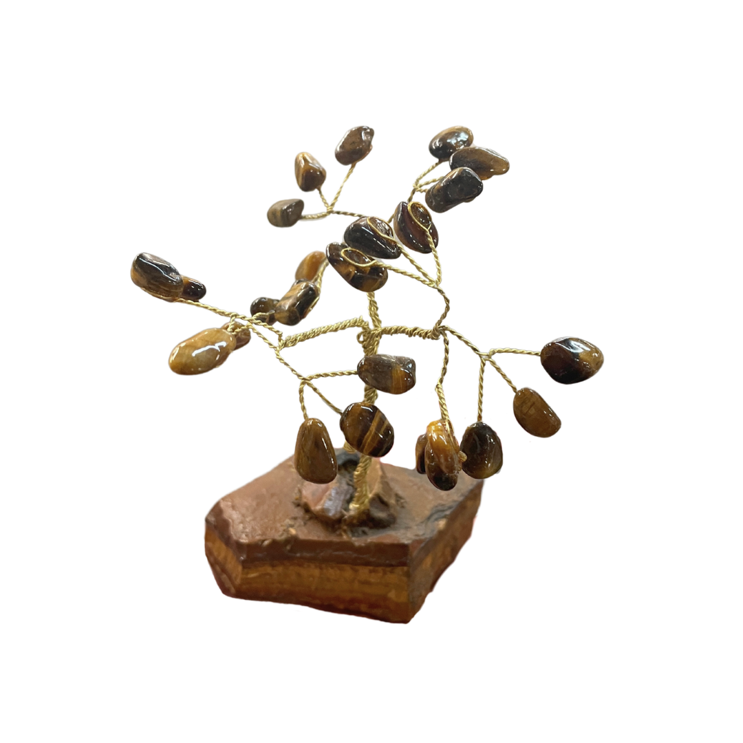 Tiger Eye Tree