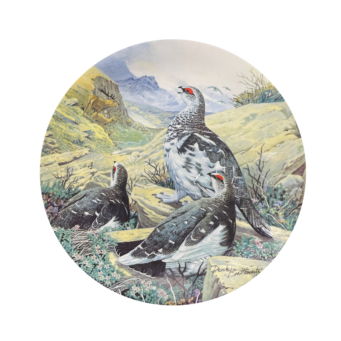 Flock of Ptarmigan