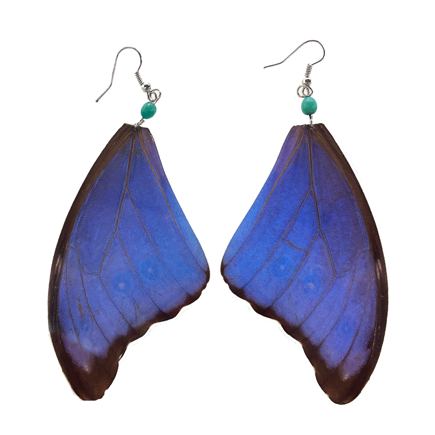 Blue Morpho Earrings