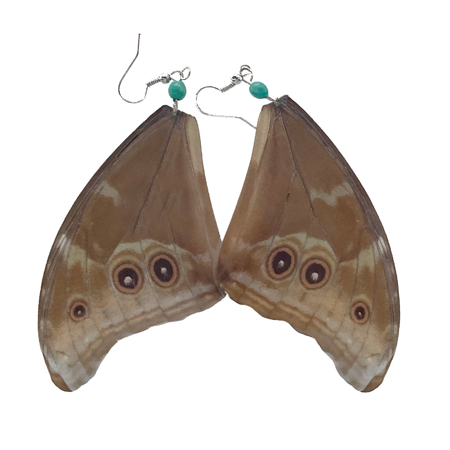 Blue Morpho Earrings