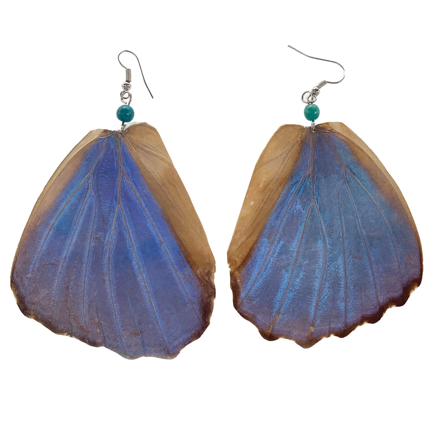 Hybrid Blue Morpho Earrings