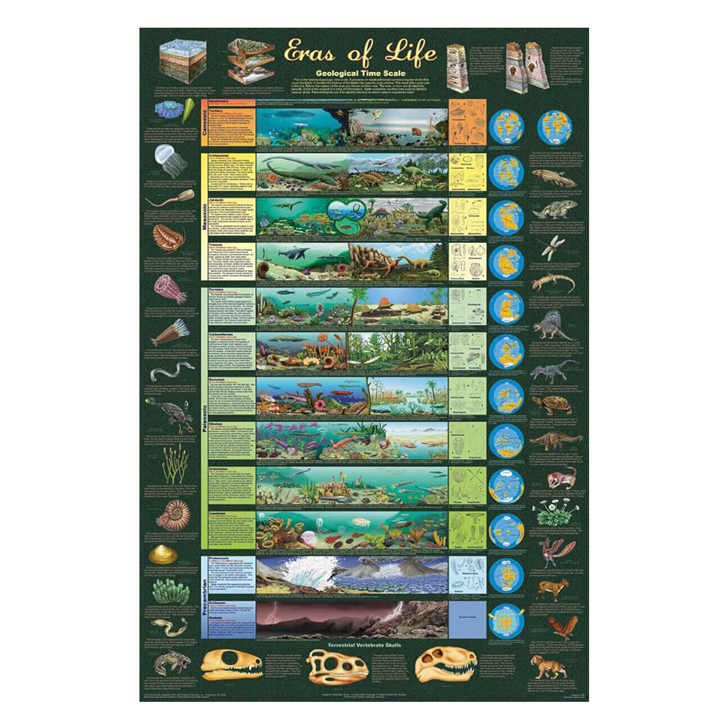 Eras of Life Poster