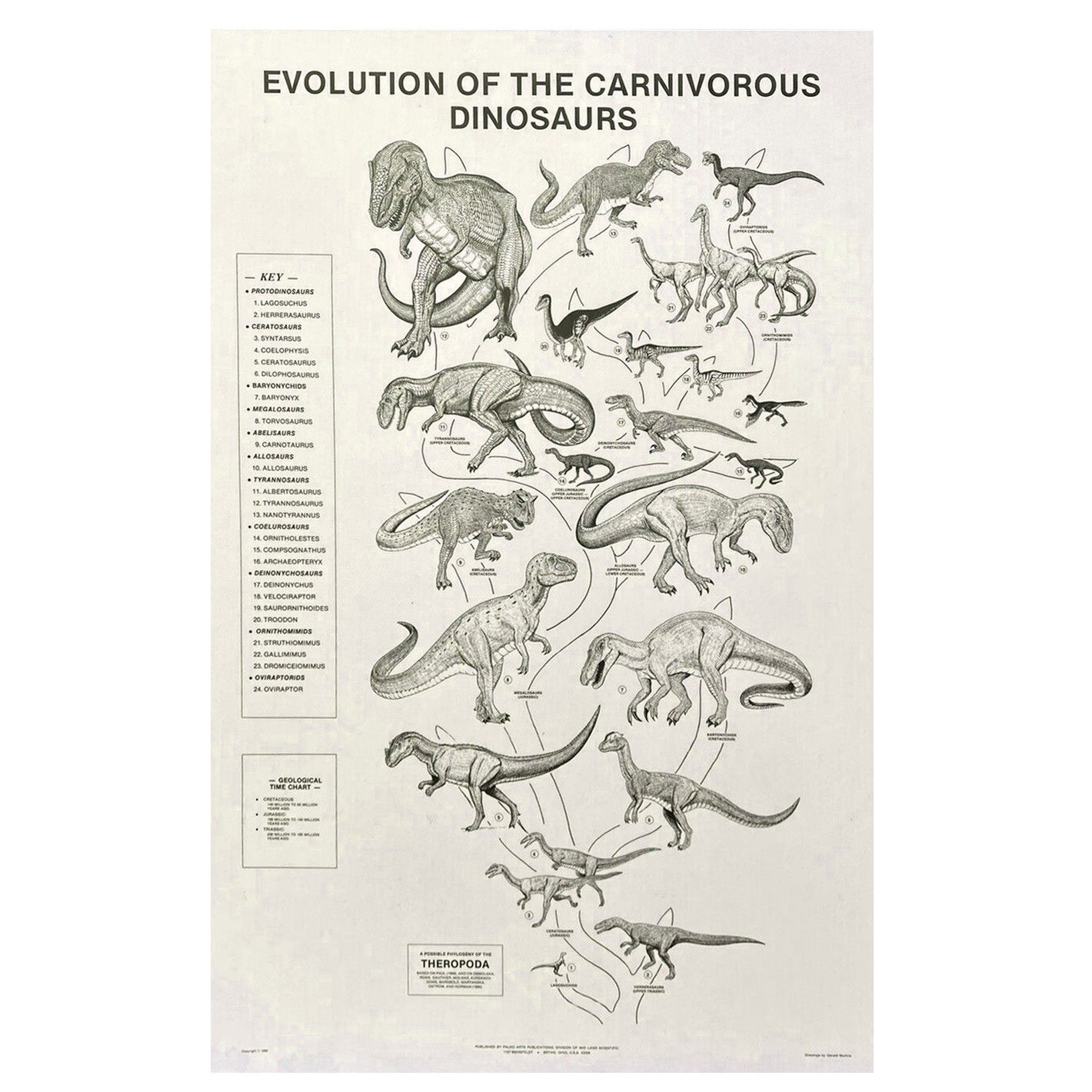 Evolution of the Carnivorous Dinosaurs Poster
