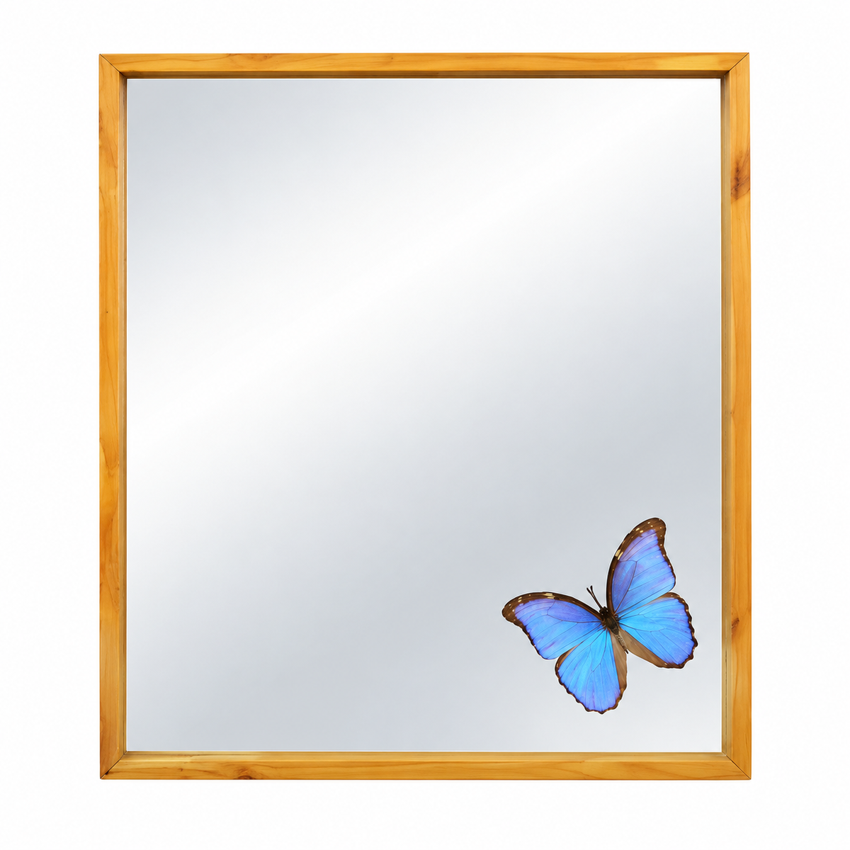 Blue Morpho Mirror