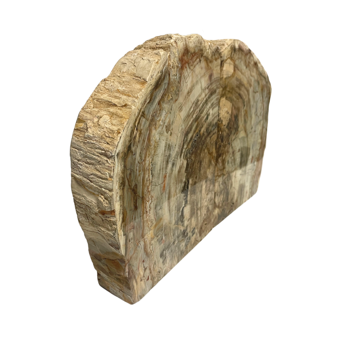 Petrified Wood