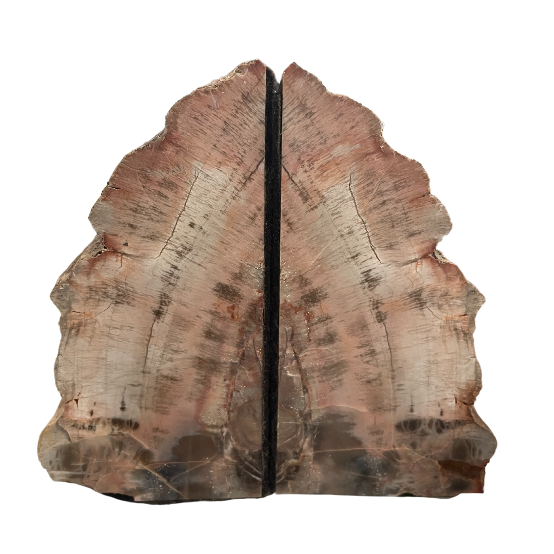 Petrified Wood Bookends