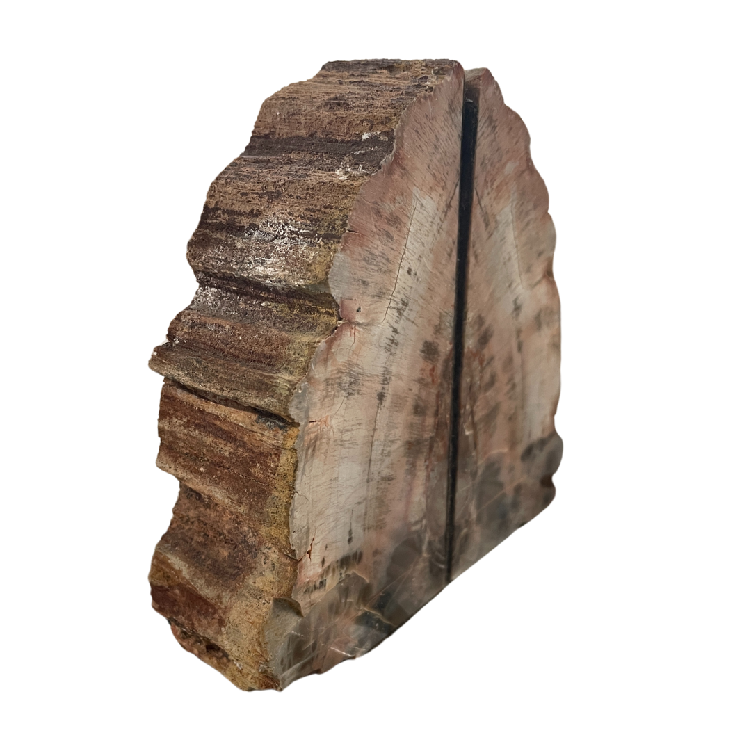 Petrified Wood Bookends