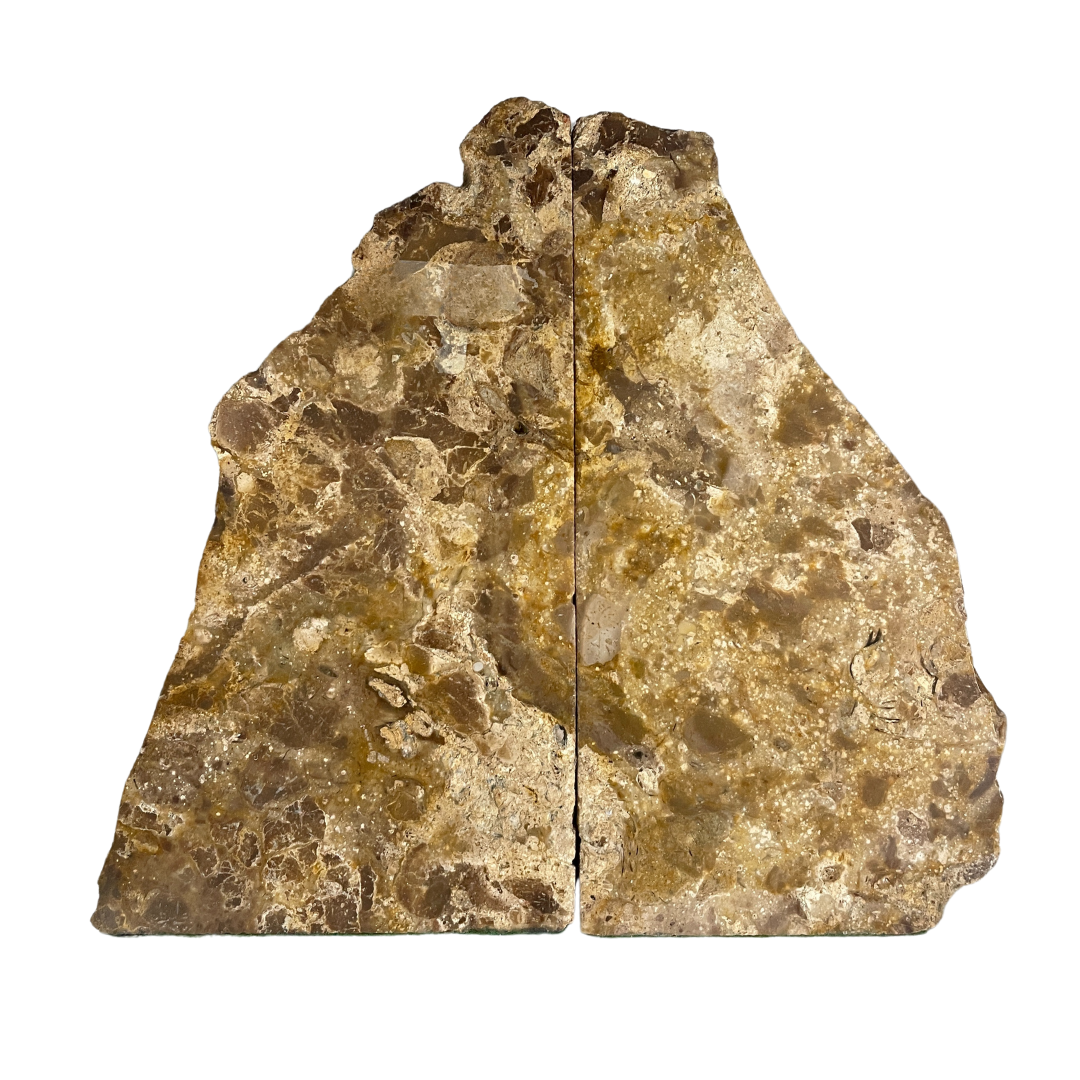 Petrified Wood Bookends
