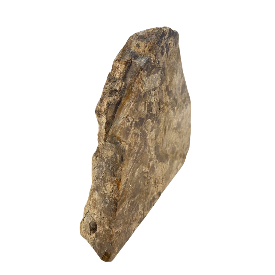 Petrified Wood Bookends