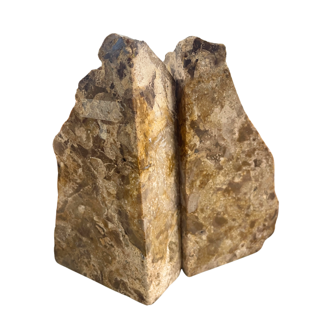 Petrified Wood Bookends