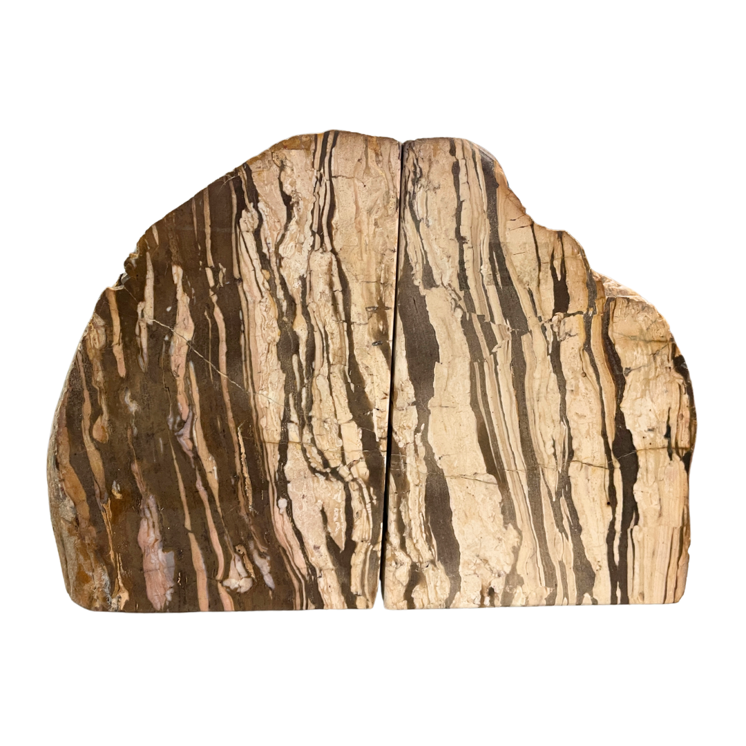Petrified Wood Bookends