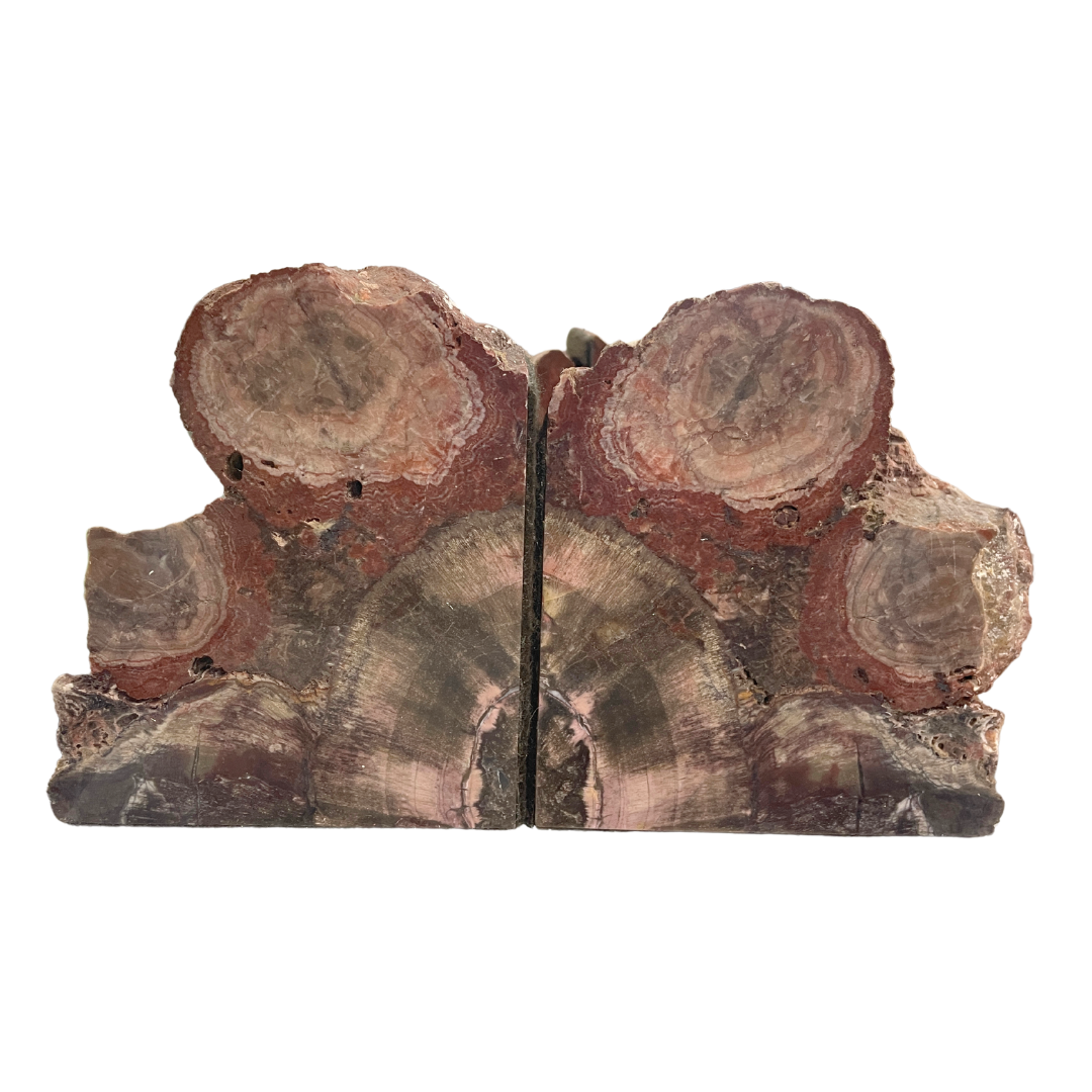 Petrified Wood Bookends