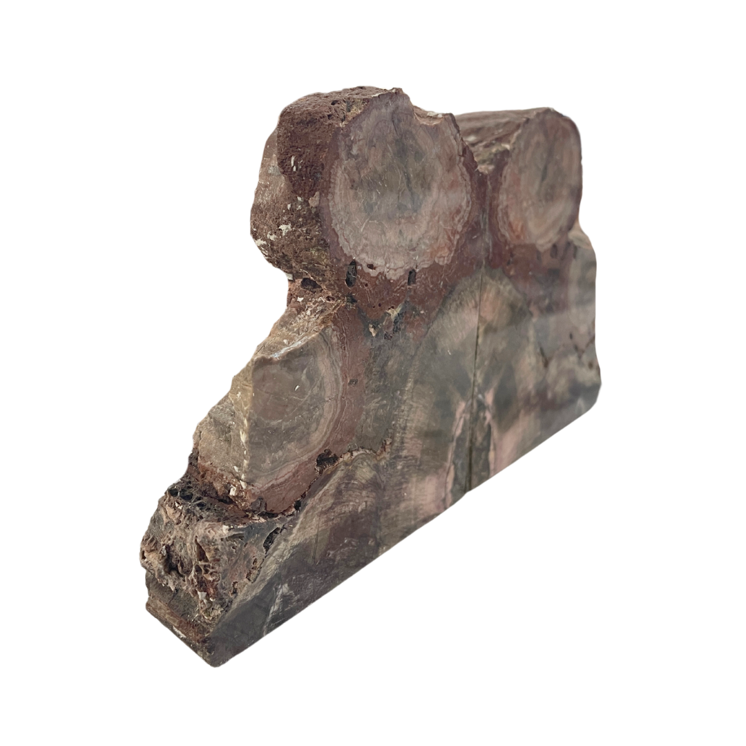 Petrified Wood Bookends