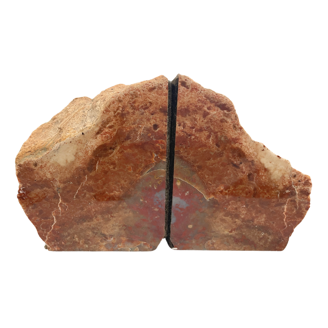 Petrified Wood Bookends