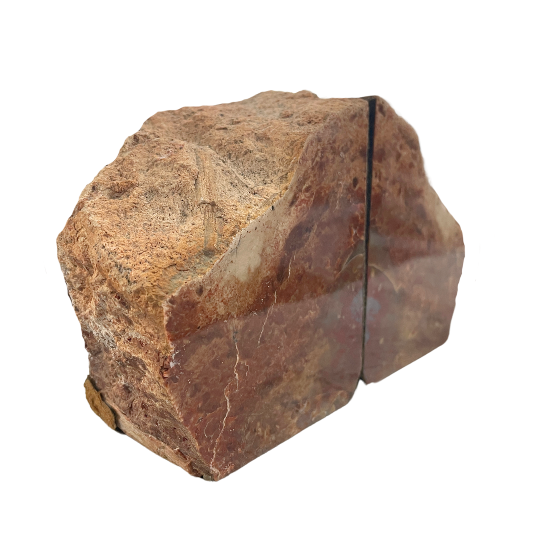 Petrified Wood Bookends