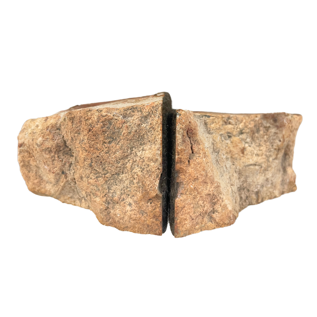 Petrified Wood Bookends