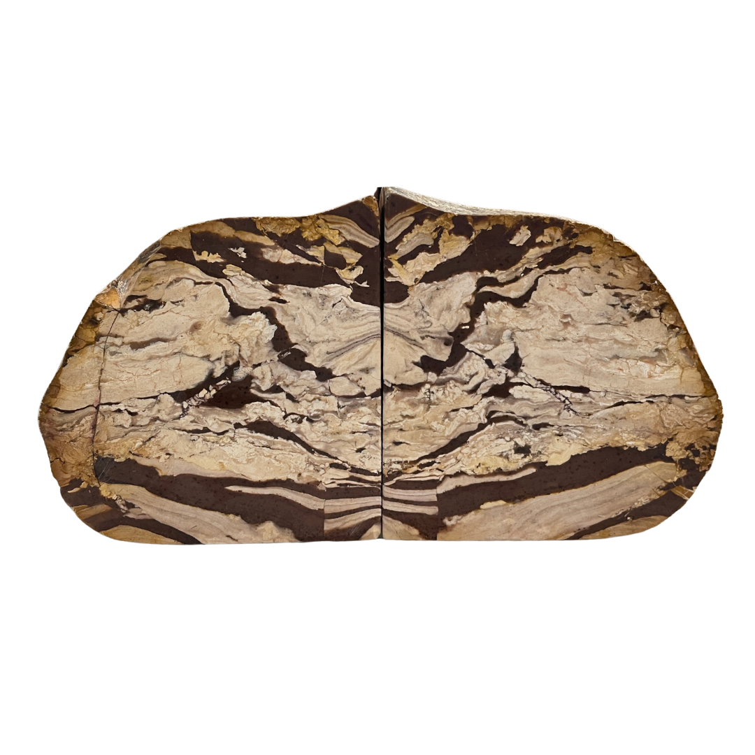 Petrified Wood Bookends