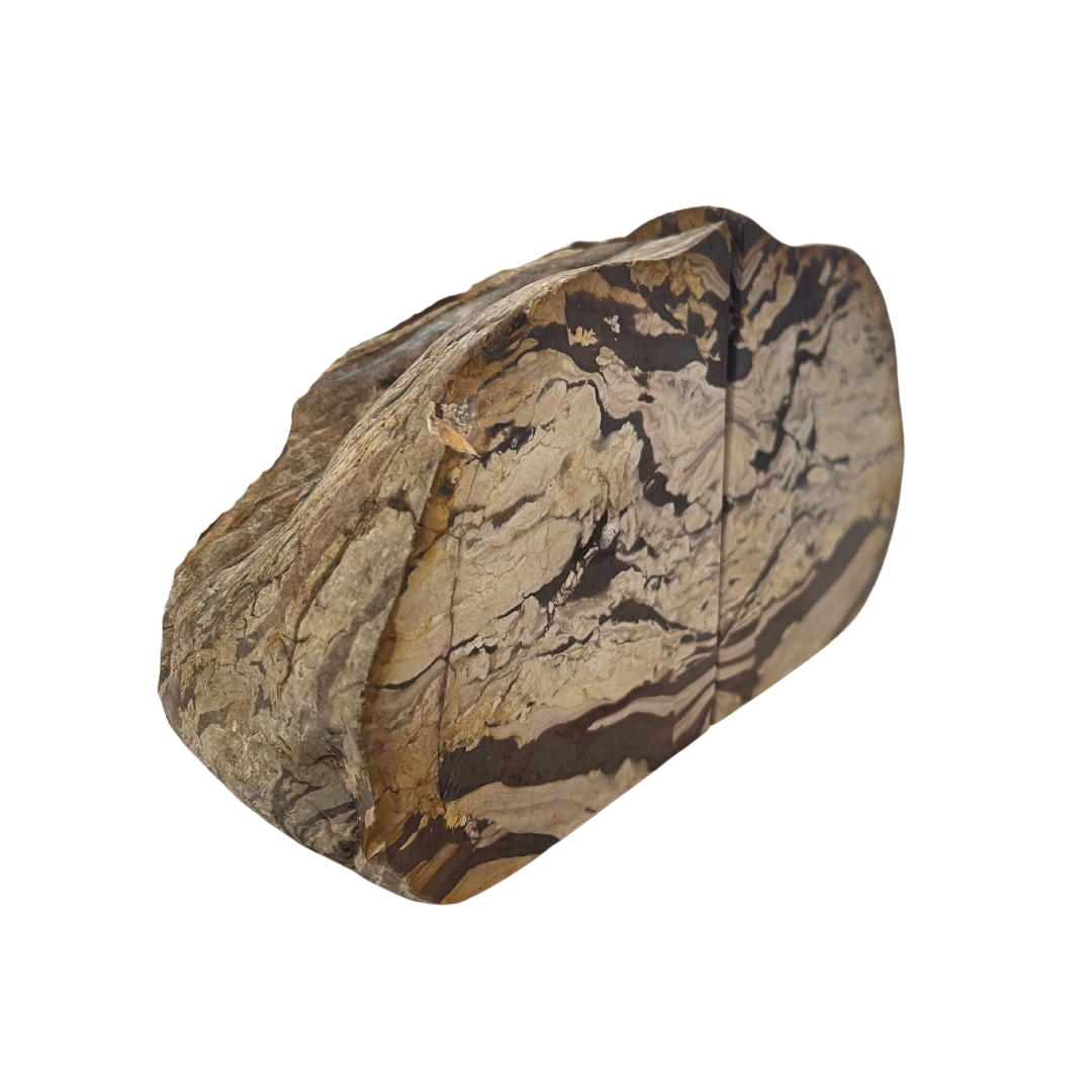 Petrified Wood Bookends
