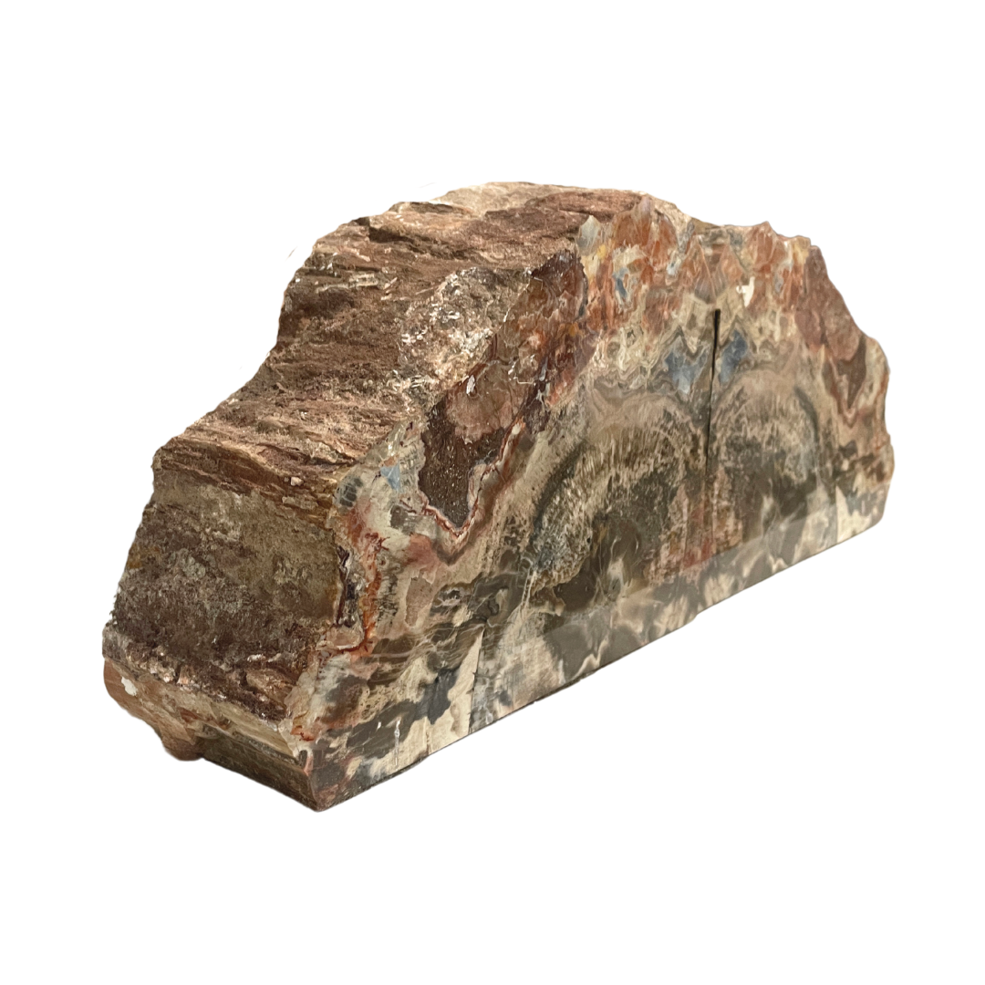 Petrified Wood