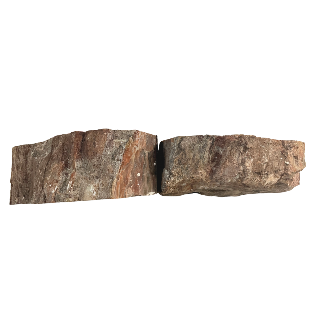 Petrified Wood