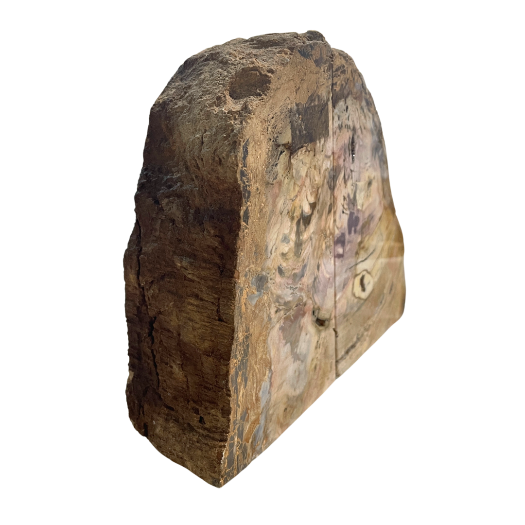 Petrified Wood Bookends